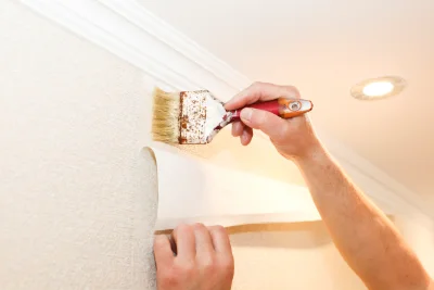 Pose de papier peint à Équirre — revêtements muraux et toiles de verre